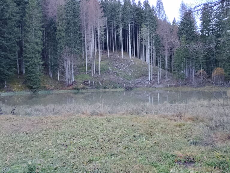 lago di campo 768x578