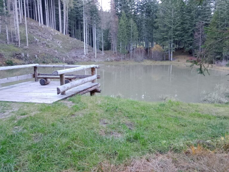 lagodicampo3 768x578